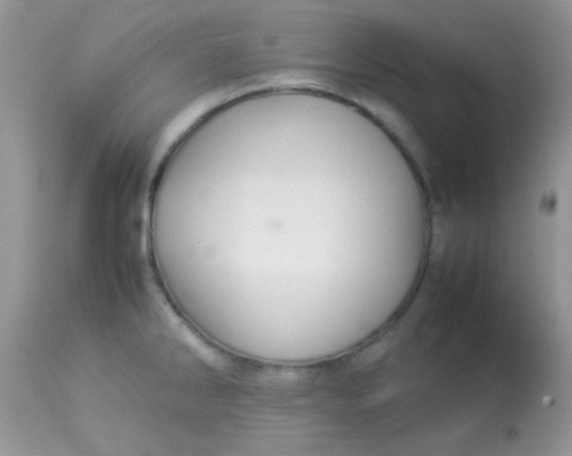 X0000113071286200909182016