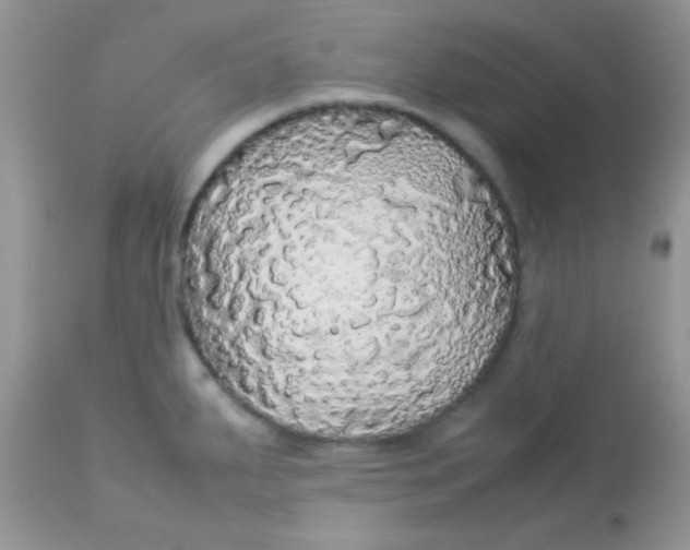 X0000113071287200909182016