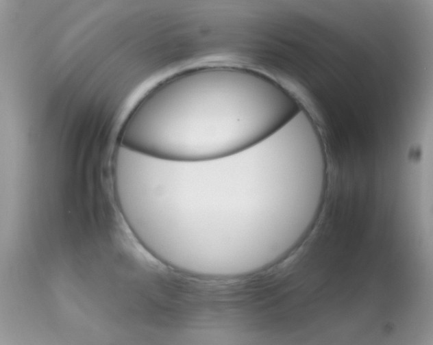 X0000113071288200909182016