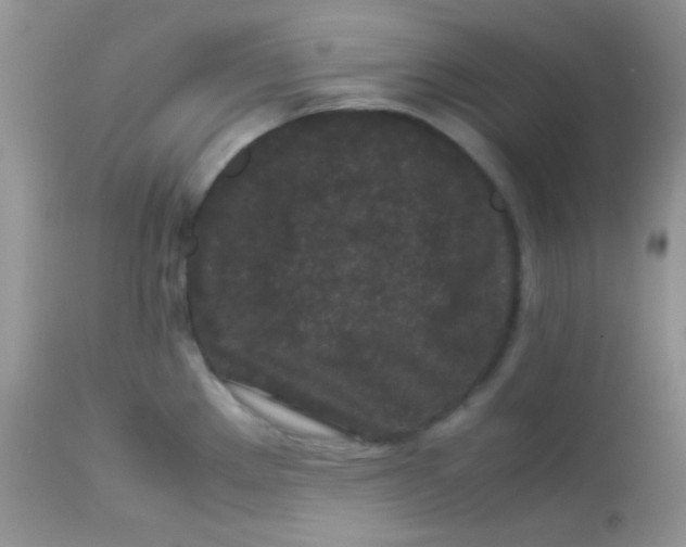 X0000113071289200909182016