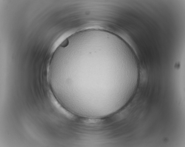 X0000113071290200909182016