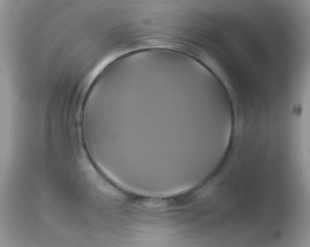 X0000113071291200909182016