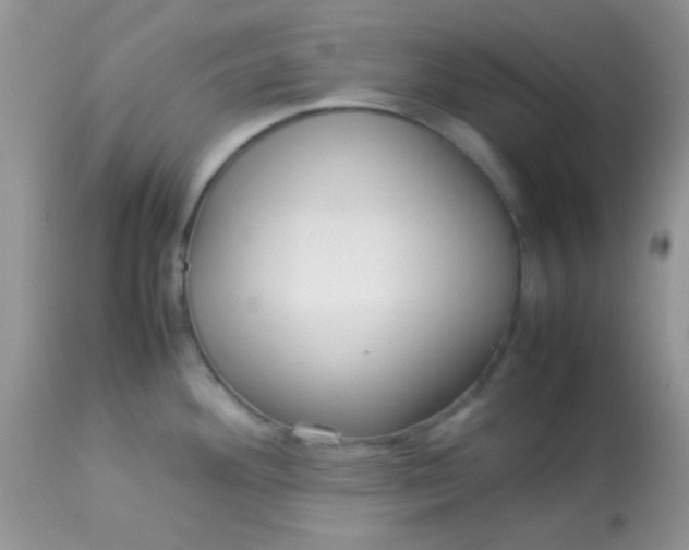 X0000113071292200909182016