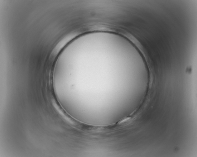 X0000113071293200909182016