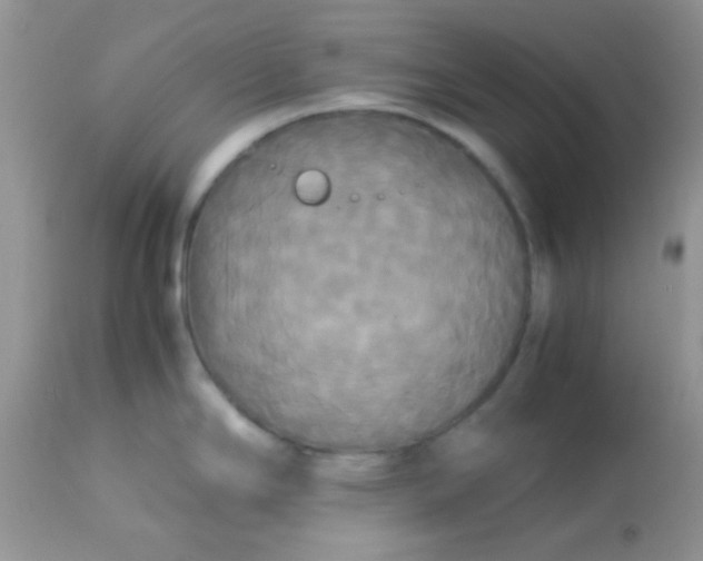 X0000113071294200909182016