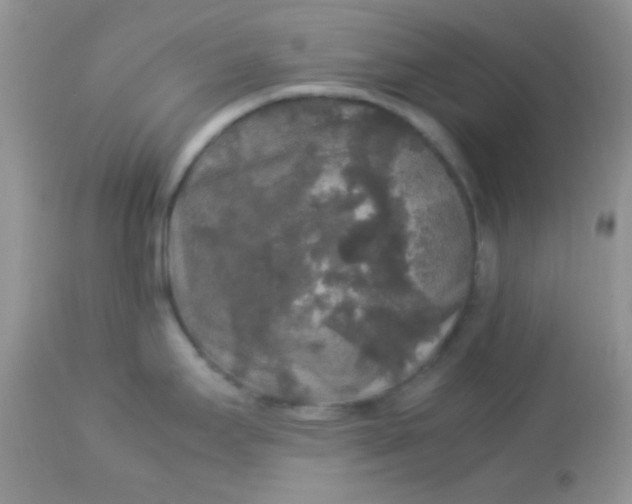 X0000113071295200909182016