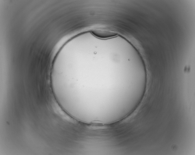 X0000113071296200909182016