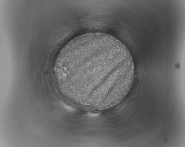 X0000113071297200909182015