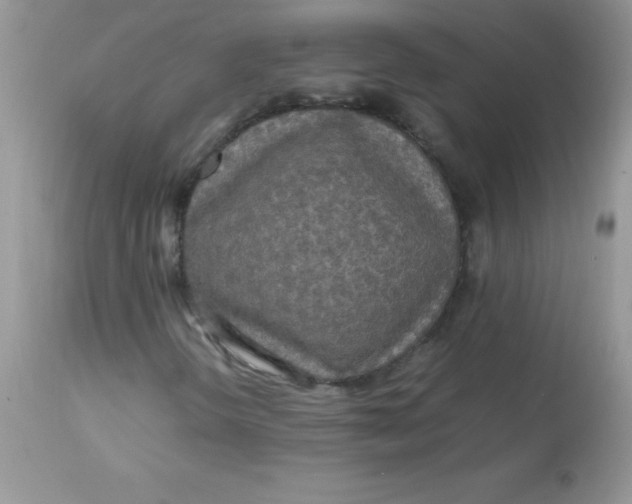 X0000113071298200909182015