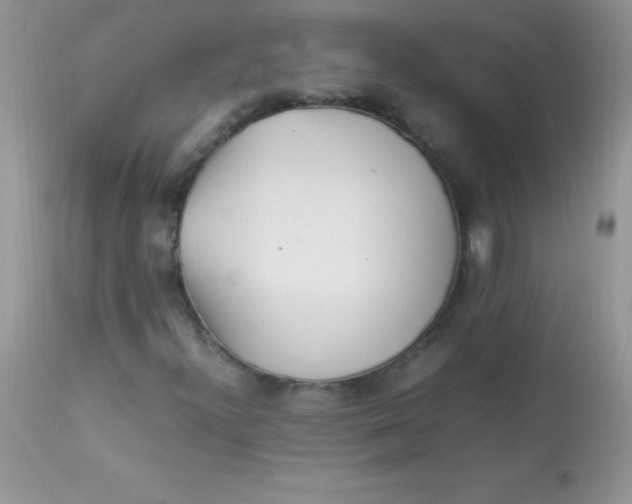 X0000113071300200909182015