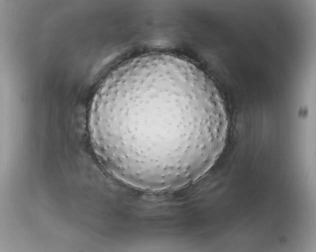 X0000113071301200909182015