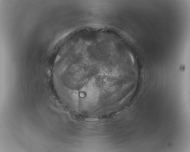 X0000113071302200909182015