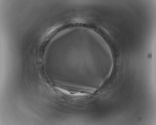 X0000113071303200909182015