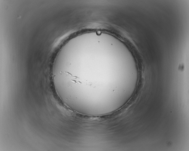 X0000113071304200909182015