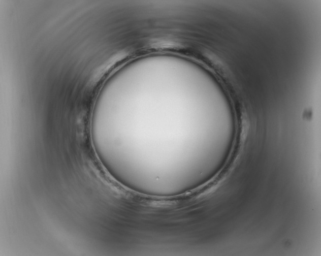 X0000113071305200909182015