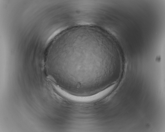 X0000113071306200909182015