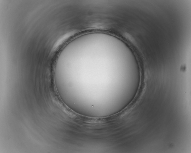 X0000113071307200909182015