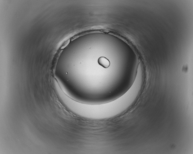 X0000113071308200909182015