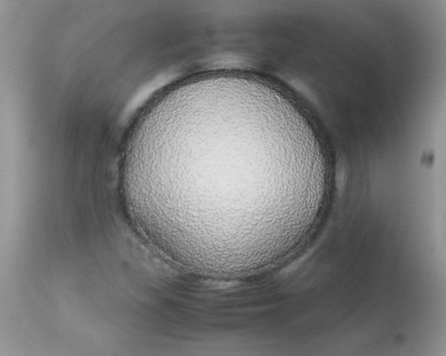 X0000113071309200909182015