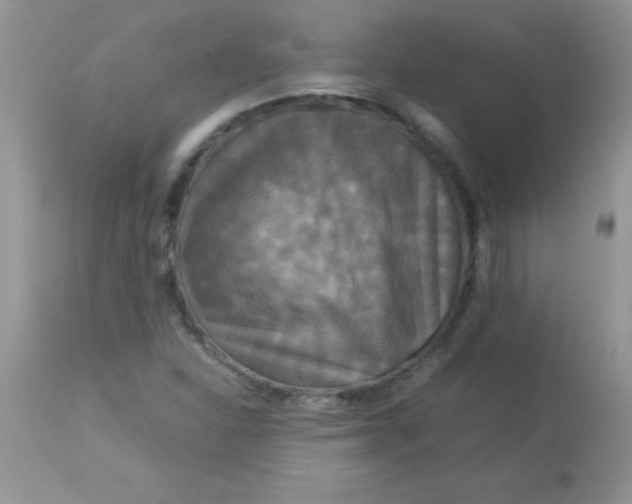 X0000113071310200909182015