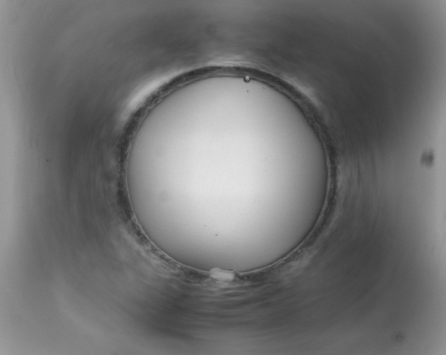 X0000113071311200909182015