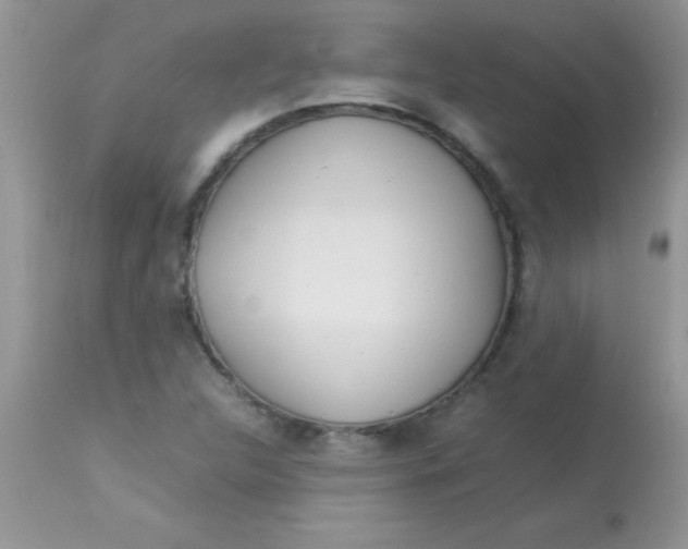 X0000113071312200909182015