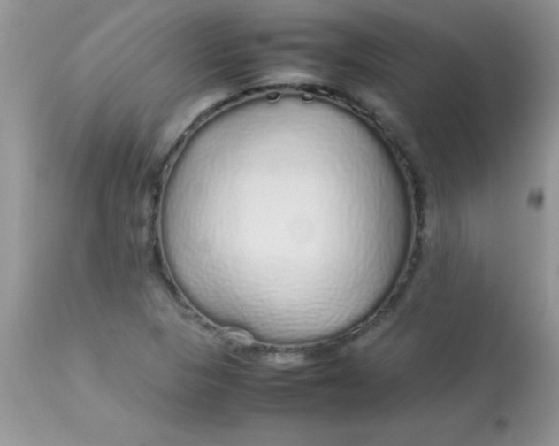 X0000113071313200909182015