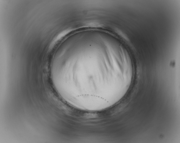 X0000113071315200909182015