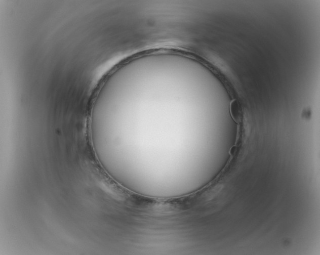 X0000113071316200909182015