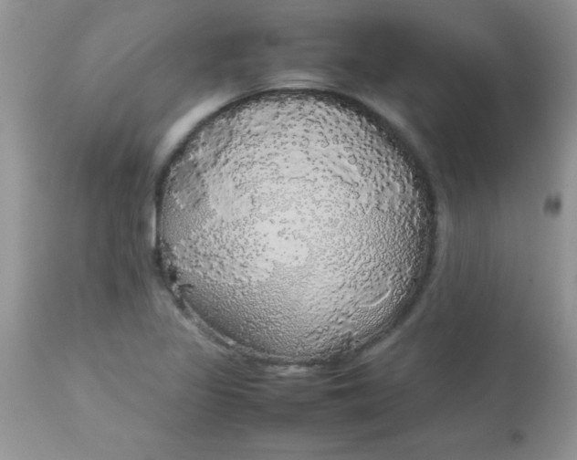 X0000113071317200909182015