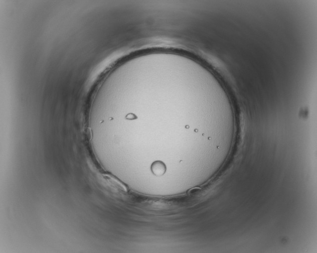 X0000113071318200909182015