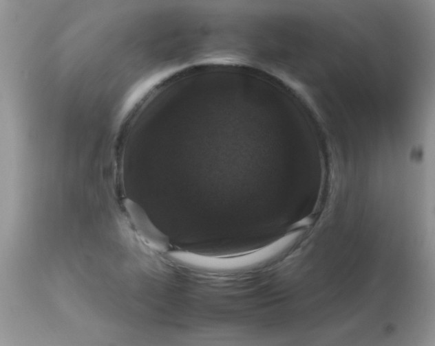 X0000113071319200909182015