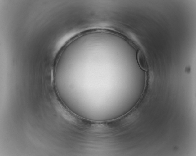 X0000113071320200909182015