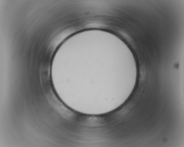 X0000113071322200909182015