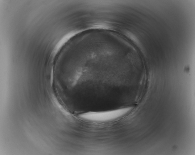 X0000113071323200909182015