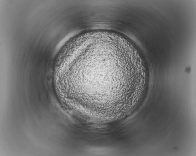 X0000113071325200909182015