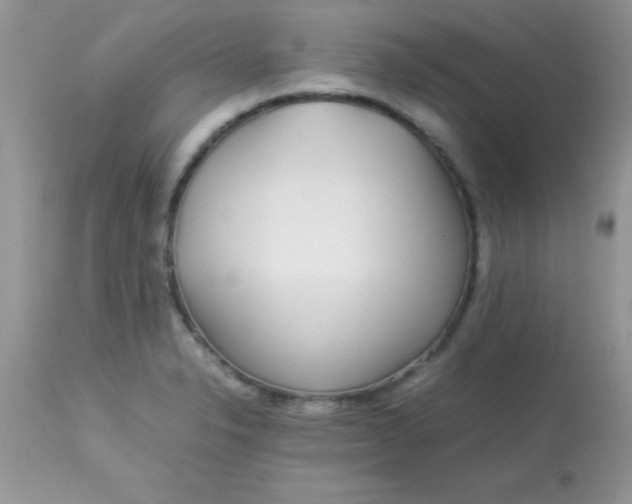 X0000113071326200909182015