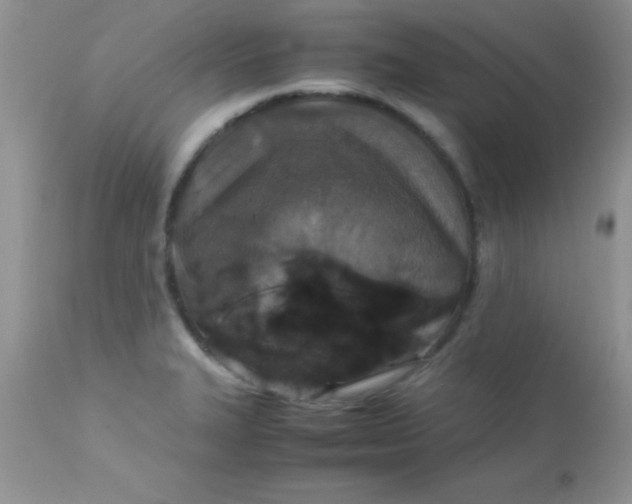 X0000113071327200909182015