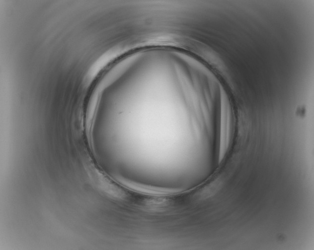 X0000113071328200909182015