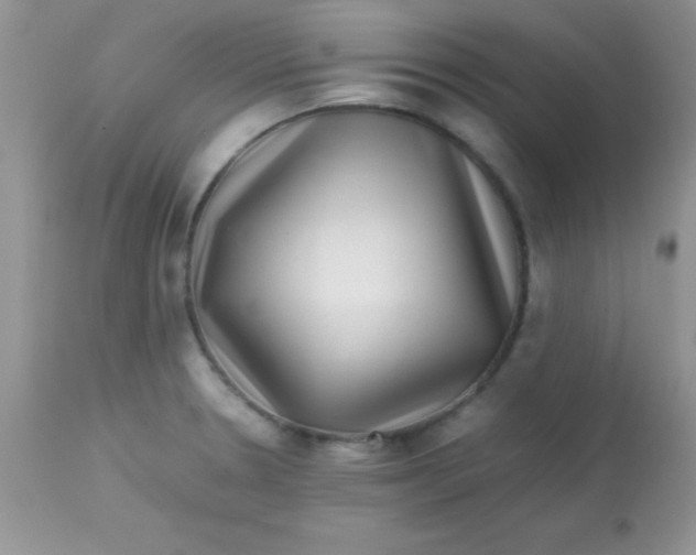 X0000113071330200909182015