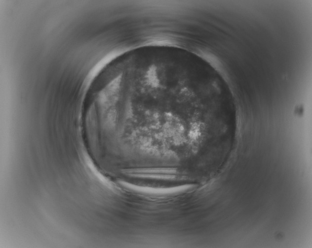 X0000113071331200909182015