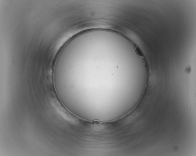 X0000113071332200909182015