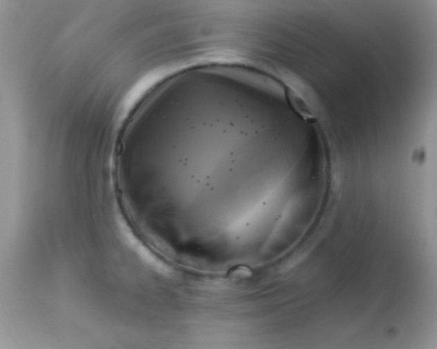 X0000113071334200909182015