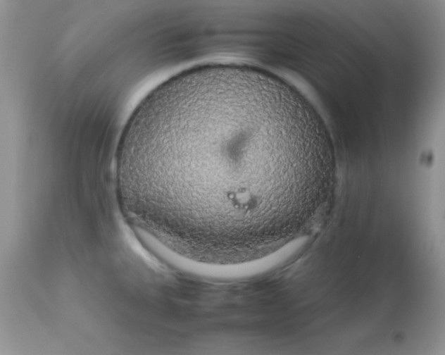 X0000113071335200909182015