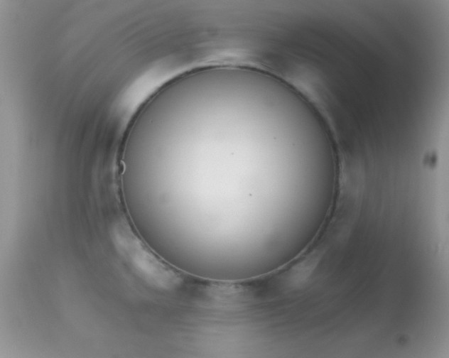 X0000113071336200909182016