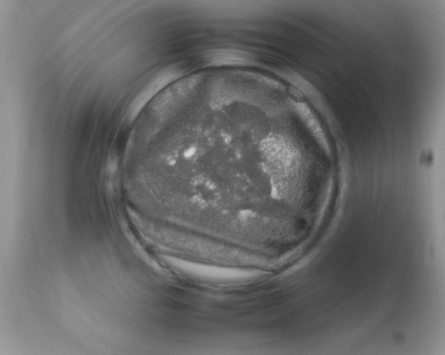 X0000113071337200909182016