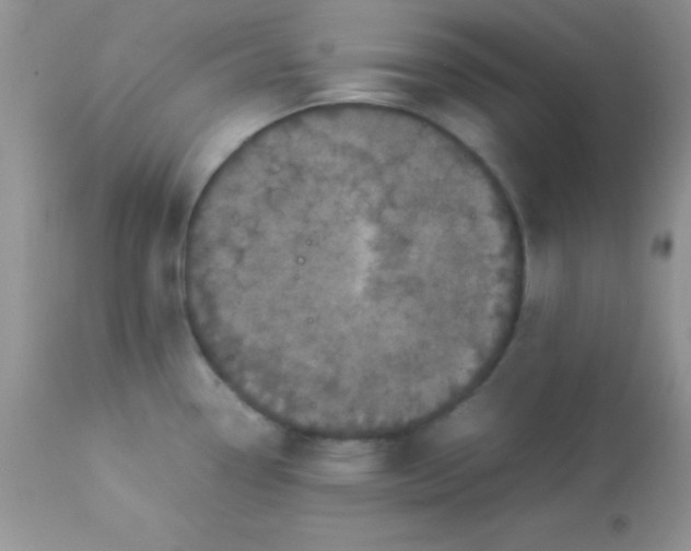 X0000113071338200909182016