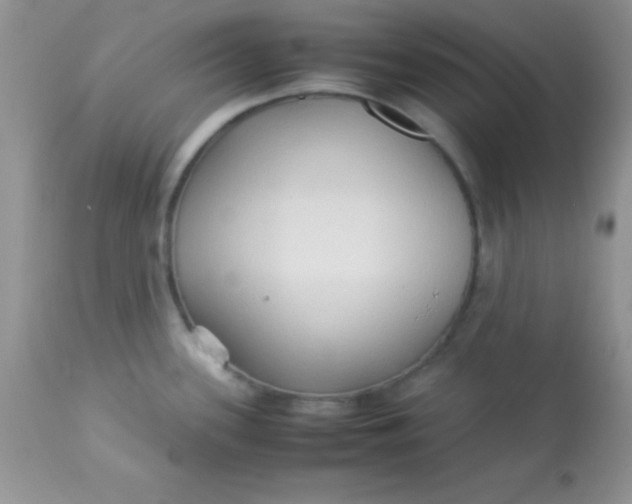 X0000113071339200909182016