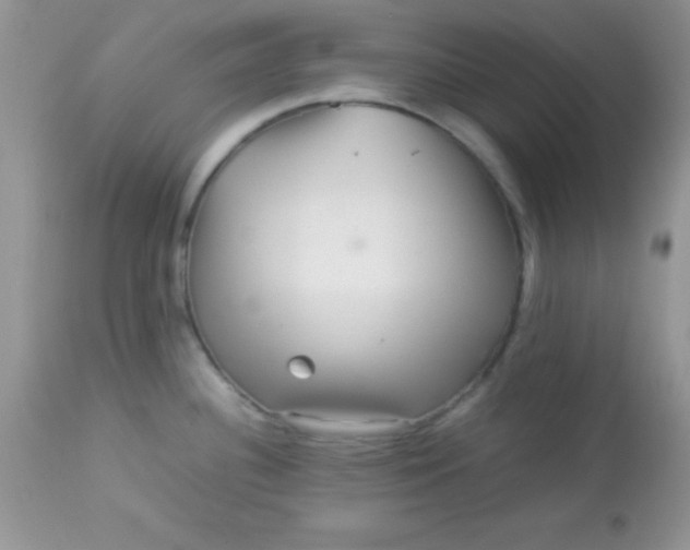 X0000113071340200909182016