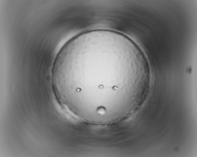 X0000113071341200909182016